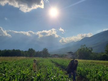 Two people standing in a field of crops looking at the ground for geophysical anomalies.